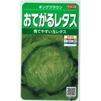 [レタス]　キングクラウン　約550粒　サカタのタネ（株）　実咲300