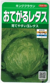 [レタス]　キングクラウン　約550粒　サカタのタネ（株）　実咲300