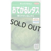 送料無料　[レタス]　キングクラウン　約550粒　(株)サカタのタネ　実咲350（003025）