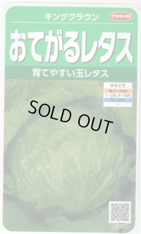 送料無料　[レタス]　キングクラウン　約550粒　(株)サカタのタネ　実咲350（003025）