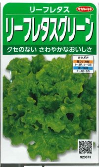 [レタス]　リーフレタス　グリーン　約1200粒　サカタのタネ（株）　実咲300