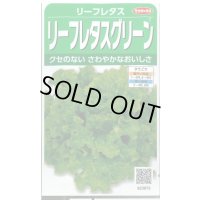 送料無料　[レタス]　リーフレタス　グリーン　約1200粒　(株)サカタのタネ　実咲350（003033）