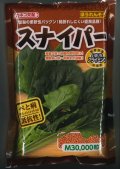 [ほうれんそう]　スナイパー　Ｍサイズ　3万粒　カネコ種苗（株）