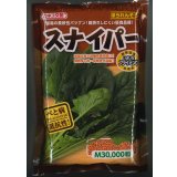 [ほうれんそう]　スナイパー　Ｍサイズ　3万粒　カネコ種苗（株）