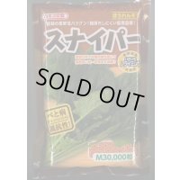 [ほうれんそう]　スナイパー　Ｍサイズ　3万粒　カネコ交配