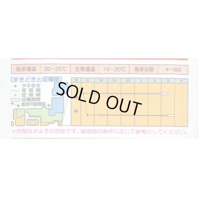 画像4: [キャベツ]　送料無料　春のかほりSP  ペレット5000粒　　タキイ種苗（株）