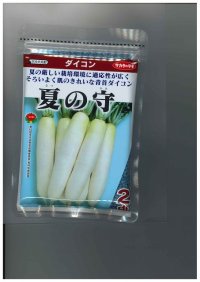 送料無料　[大根]　夏の守　8000粒　(株)サカタのタネ