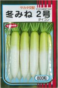 送料無料　大根　冬みね2号　800粒　(株)サカタのタネ