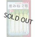 送料無料　大根　冬みね2号　800粒　(株)サカタのタネ