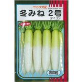 送料無料　大根　冬みね2号　800粒　(株)サカタのタネ