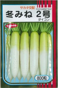送料無料　大根　冬みね2号　800粒　(株)サカタのタネ