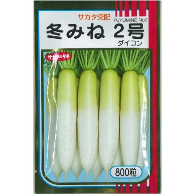 画像1: 送料無料　大根　冬みね2号　800粒　(株)サカタのタネ
