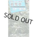 送料無料　花の種　初雪草　氷河(ひょうが)　1袋(約50粒)　タキイ種苗（株）NL150
