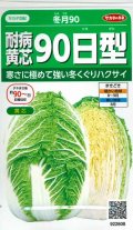 送料無料　[白菜]　耐病黄芯90日型(冬月90)　約130粒　(株)サカタのタネ　実咲450（002937）