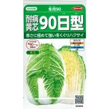 送料無料　[白菜]　耐病黄芯90日型(冬月90)　約130粒　(株)サカタのタネ　実咲450（002937）