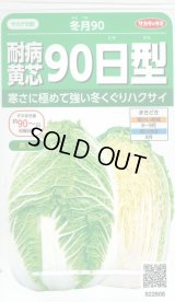 送料無料　[白菜]　耐病黄芯90日型(冬月90)　約130粒　(株)サカタのタネ　実咲450（002937）