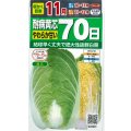 白菜　耐病黄芯やわらか甘い70日(さとぶき613)　約130粒　(株)サカタのタネ　実咲450（002933）
