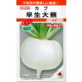 送料無料　[かぶ]　早生大蕪　小袋　3.5ml　タキイ種苗(株)　RF