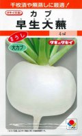 送料無料　[かぶ]　早生大蕪　小袋　3.5ml　タキイ種苗(株)　RF