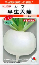 送料無料　[かぶ]　早生大蕪　小袋　3.5ml　タキイ種苗(株)　RF