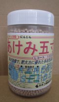 [人参]　あけみ五寸　1万粒　L　サイズ　ペレット種子　カネコ種苗（株）