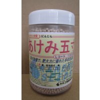 [人参]　あけみ五寸　1万粒　L　サイズ　ペレット種子　カネコ種苗（株）