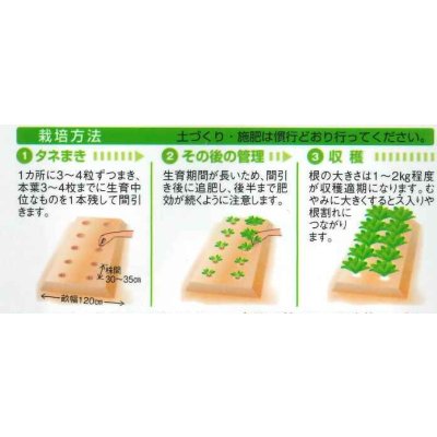 画像2: 送料無料　[かぶ]　早生大蕪　小袋　3.5ml　タキイ種苗(株)　RF