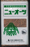 [緑肥]　ニューオーツ(アウェナストリゴサ)　1kg　カネコ種苗(株)