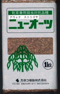 [緑肥]　ニューオーツ（アウェナストリゴサ）　1kg 　カネコ種苗（株）