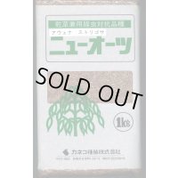 [緑肥]　ニューオーツ(アウェナストリゴサ)　1kg　カネコ種苗(株)