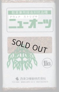 [緑肥]　ニューオーツ(アウェナストリゴサ)　1kg　カネコ種苗(株)
