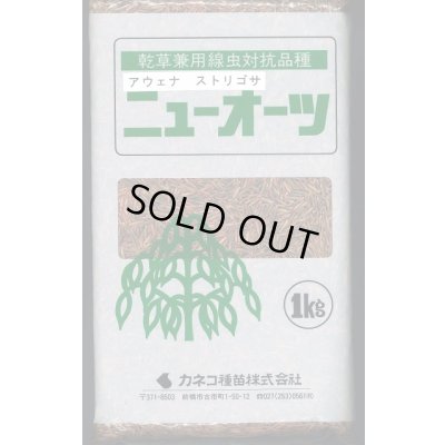 画像1: [緑肥]　ニューオーツ(アウェナストリゴサ)　1kg　カネコ種苗(株)