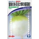 送料無料　[大根]　京の冬聖護院大根　8ml（約300粒）　(株)タカヤマシード