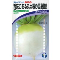 送料無料　[大根]　京の冬聖護院大根　8ml（約300粒）　(株)タカヤマシード