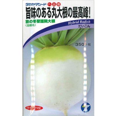 画像1: 送料無料　[大根]　京の冬聖護院大根　8ml（約300粒）　(株)タカヤマシード