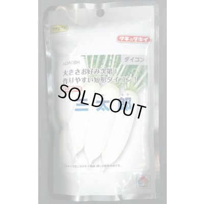 画像1: 送料無料　[大根]　三太郎　2dl　タキイ種苗(株)