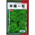 送料無料　[葉物]　はなな　早陽一号　20ml　（株）サカタのタネ