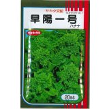 送料無料　[葉物]　はなな　早陽一号　20ml　（株）サカタのタネ