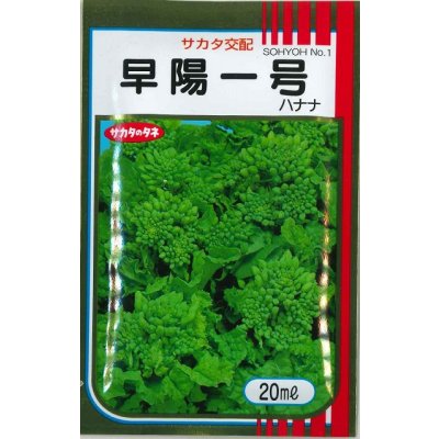 画像1: 送料無料　[葉物]　はなな　早陽一号　20ml　（株）サカタのタネ