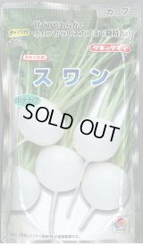 送料無料　[かぶ]　スワン　1dl　タキイ種苗(株)