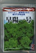 [葉物]　はなな　早陽一号　2dl　（株）サカタのタネ
