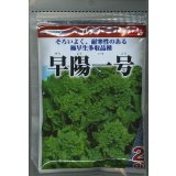 [葉物]　はなな　早陽一号　2dl　（株）サカタのタネ
