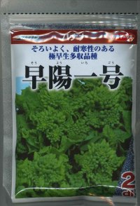 [葉物]　はなな　早陽一号　2dl　（株）サカタのタネ