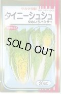 送料無料　[白菜]　タイニーシュシュ　20ml　（株）サカタのタネ