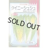 送料無料　[白菜]　タイニーシュシュ　20ml　（株）サカタのタネ