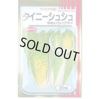 [白菜]　タイニーシュシュ　20ｍｌ　サカタのタネ（株）　