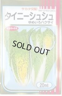 送料無料　[白菜]　タイニーシュシュ　20ml　（株）サカタのタネ