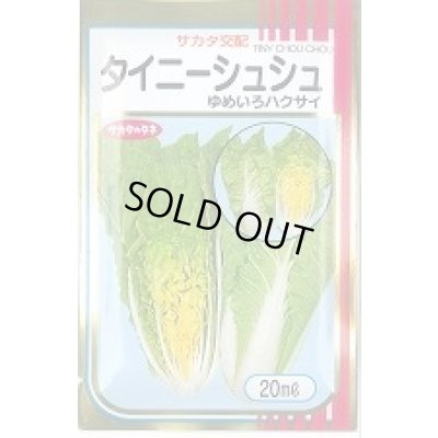 画像1: 送料無料　[白菜]　タイニーシュシュ　20ml　（株）サカタのタネ