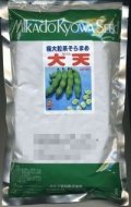[そら豆]　大天　230粒　ヴィルモランみかど（株）