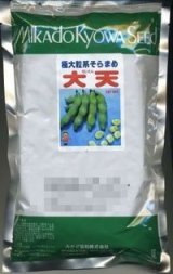 [そら豆]　大天　230粒　ヴィルモランみかど（株）
